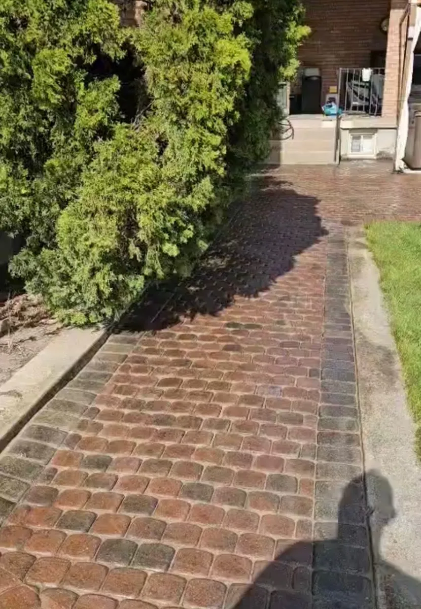 Landscaping and hardscaping project by World Gate Landscaping in the GTA